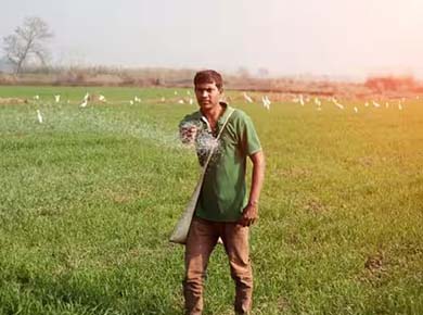 rising-sulphur-prices-put-fertiliser-sector-under-pressure
