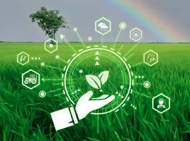 why-ai-in-indian-agriculture-needs-stronger-data